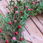 Egolot 24 Inch Winter and Christmas Green and Red Berry Wreath for Front Door and Home Decor