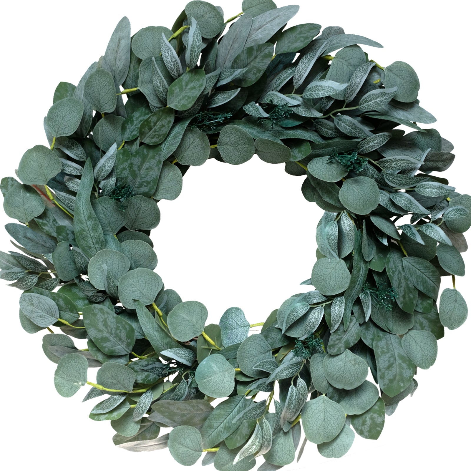 24 Inch Everyday Seeded Eucalyptus Leaves for Front Door, Dollar Eucalyptus Leaves for Wedding Decor Indoor and Outdoor Home Decor, Spring Summer Greenery Leaves Wreath for Wall
